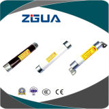 High Voltage Limit Current Fuse for Protection Oil-Immersed Tyoe Transformer