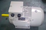 Ie1 Ie2 (CE) Y2 Three Phase Electric Motor (Y2-200L-4)