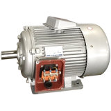Y, Y2 Series Three-Phase Induction Electrical Motor