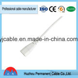 Best Sales LED Connect Cable 2 Pin Male to Male AC Power Cord From China