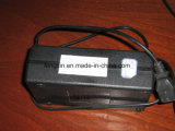 VRLA Lead Acid Electric Vehicles/Cars Battery Charger