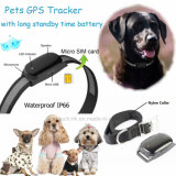 IP66 Waterproof Hot Selling Pet GPS Tracker with Collar (EV-200)