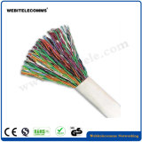 U/UTP 2 Pair Unshielded Cat 3 Twisted Network Cable