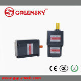 GS Small and Powerful Electric DC Motor with High Efficiency