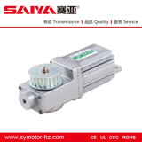 24V DC Brushless Door Motors Used in Automation Equipments