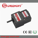 220~230VDC Small Gear Electrial Motor with Different Speed Ratio