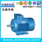 Drip Proof Induction Motor 135kw