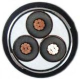 XLPE Insulated and PVC Sheathed Armored Mv Power Cable 6~35kv