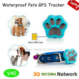 3G/WCDMA Pets GPS Tracker with Waterproof / Real-Time Tracking V40