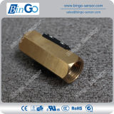 Brass Piston Type Flow Switch for Heater Pump