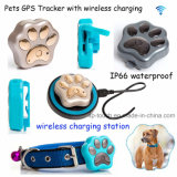 New Waterproof GPS Pet Tracker Device with Wireless Charging