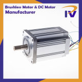 Permanent Magnet IEC Class 2 Pm Brush DC Motor for Pump Driver