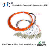 12 Cores Sc/mm Fiber Optic Pigtail with Low Insertion Loss