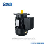 Electric Air Compressor Single Phase Motor