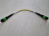 Assemblies for Data Transmission MPO/MTP Patch Cord