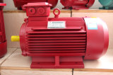 CE/ISO Certificate Y2 series good quality motor