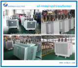 Power Equipment Oil Immersed Power Distribution Transformer 6~33kv