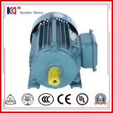 AC Electric Induction Motor with 0.25kw 2p