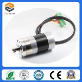 Mini DC Brushless Motors with Gearbox (FXD57BLDC4818)