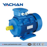 CE Approved Ms Series Induction Motor