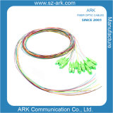 Sc/APC Singlemode 12 Color Optical Fiber (2m)