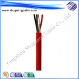 Fluorine Plastic Insulation and Sheath Electric Power Cable