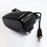 60W Argentina USB-C Power Adapter Type-C Pd Charger Adaptor with DC Cable