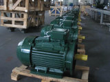 GOST Standard Three Phase AC Electric Motor 11kw 15HP