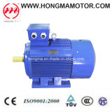 Ie3 Cast Iron Series Three Phase Asynchronous Induction High Efficiency Electric Motor (3HMI 315L1 4 160)