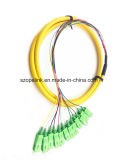 Optical Fiber 12 Cores Bound Pigtail for Fiber Optic Data Transmission/Network