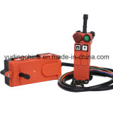 F21-2D Dual Transmitters Radio Remote Control for Crane