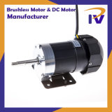 Permanent Magnet IEC Class 2 Pm Brush DC Motor with Ce