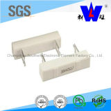 Rx27-3c Ceramic Encased Wire Wound Resistor with ISO9001