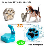 Waterproof IP66 3G Pet GPS Tracker with Collar (V40)