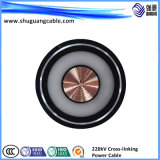 XLPE Insulated PE Sheathed Water-Proof Power Cable