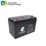 12 Volt 100ah Deep Cycle Storage Battery for Solar System