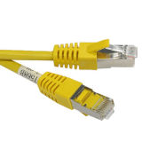 High Quality FTP CAT6A Patchcord 3m