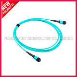 40G MTP-MTP OM3 PVC Shealth 12 Fiber Optic Cable