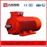 315kw 4pole Three-Phase Induction Electrical Motor for Water Pump