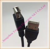 USB Cable, RCA Cable, AV Cable, USB Type Cable a Plug to USB B Plug