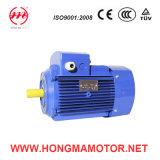 Three-Phase Induction Electrical Motor for Water Pump