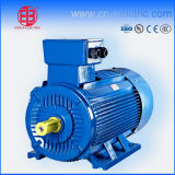 3 Phase AC Asynchronous Electric Induction Motor for Industrial Use