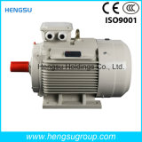 Ye3 18.5kw-4p Three-Phase AC Asynchronous Squirrel-Cage Induction Electric Motor for Water Pump, Air Compressor
