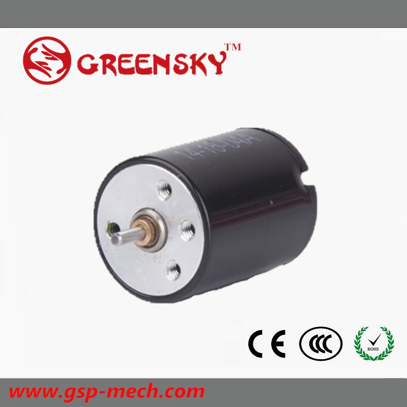 Europe Hot Sell DC Brush Coreless Gear Motor