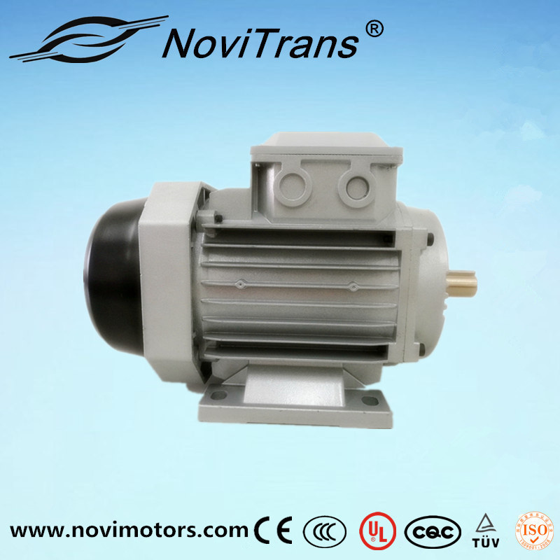 AC Permanent-Magnet Motor by Langham