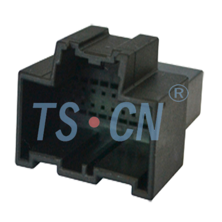 GM 20p Female Connector -1