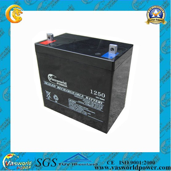 12V OEM Welcomed Rechargeable Battery