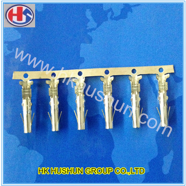 Top Quanlity Plug Terminals From Factory (HS-DZ-0041)