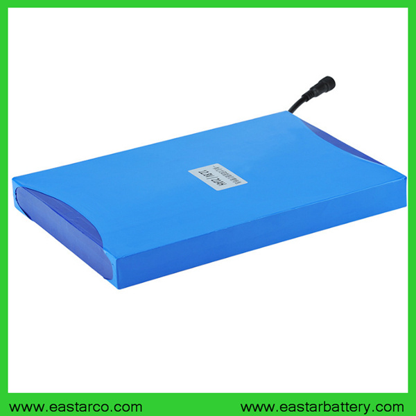 12V 21ah 26650 LiFePO4 Battery Cell Lithium Battery with Ce Certification