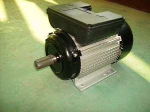 Yl Single-Phase Capacitor Start Induction Electrical Motor (YL90L-2)